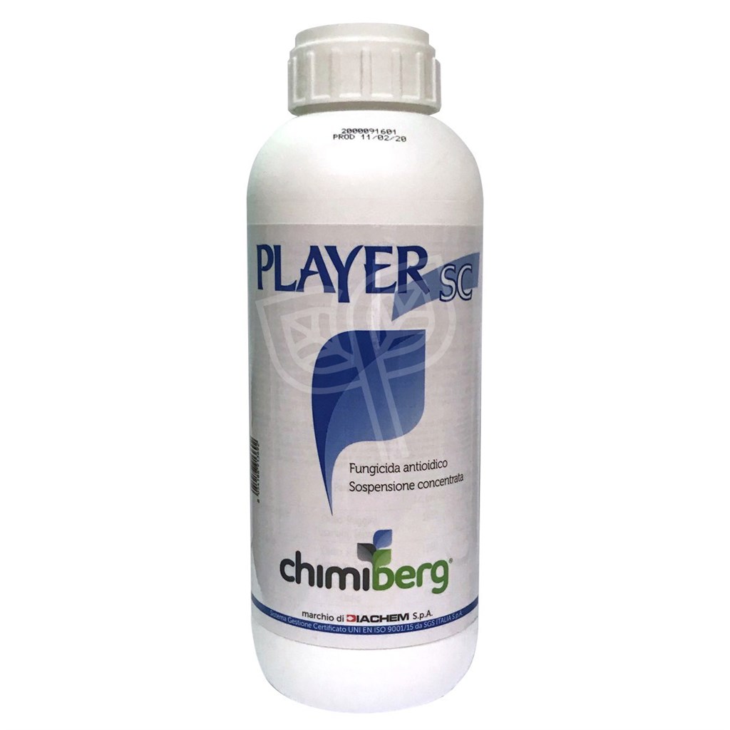 PLAYER SC CHIMIBERG - LT 1